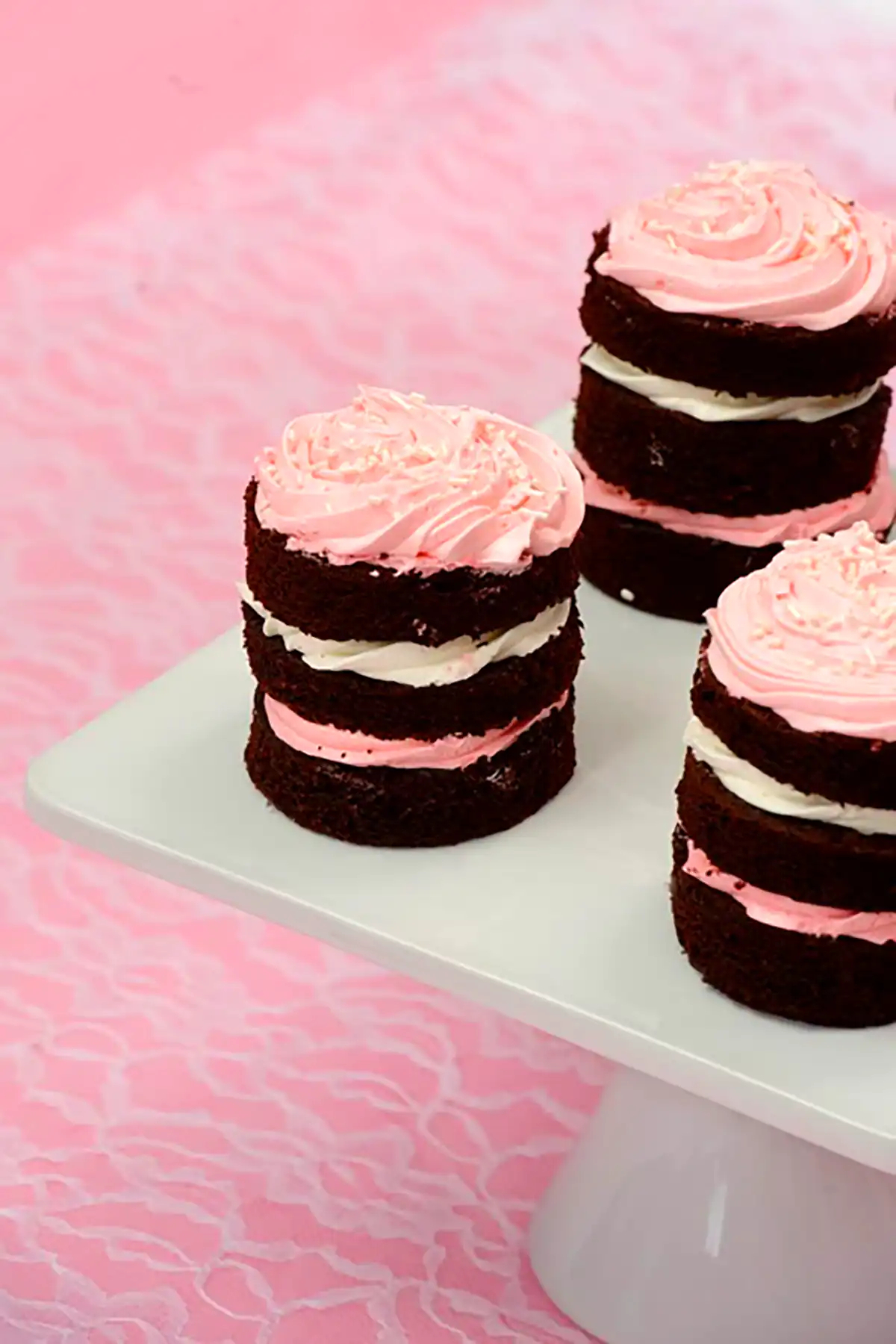 میینی کیک کاکائویی خوش طعم 