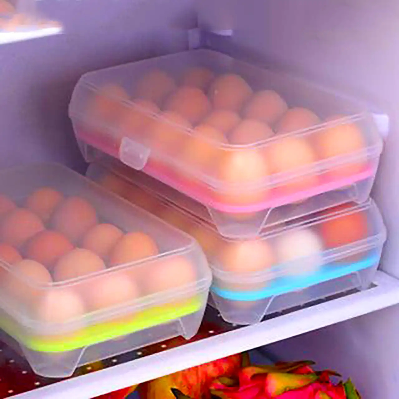 جا تخم مرغی جدید