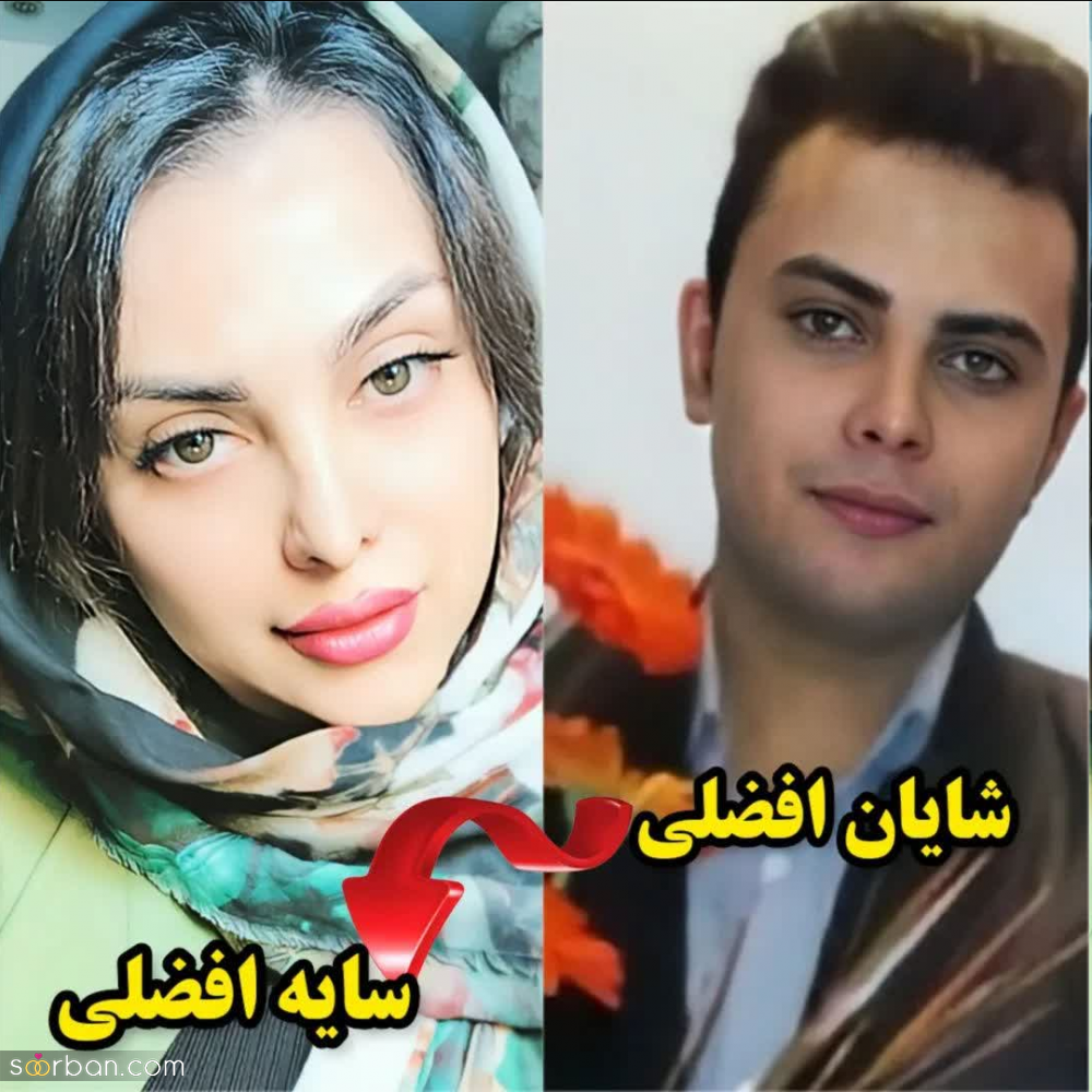 شایان افضلی 