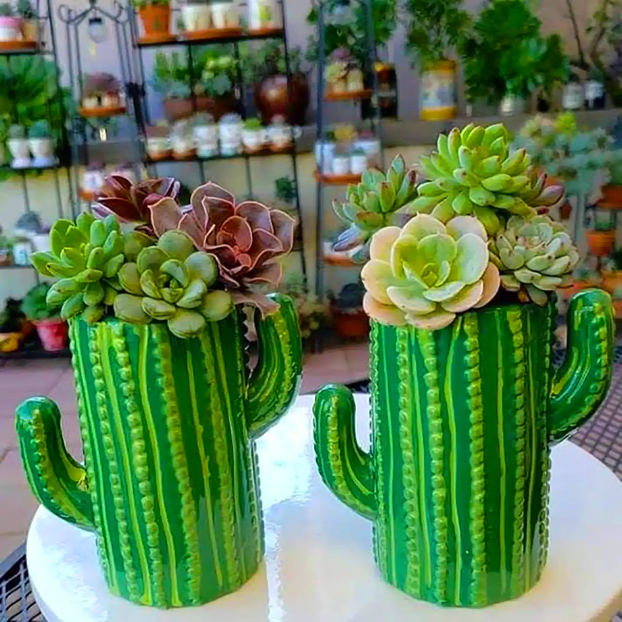 دکوریجات گوگولی طرح کاکتوس 