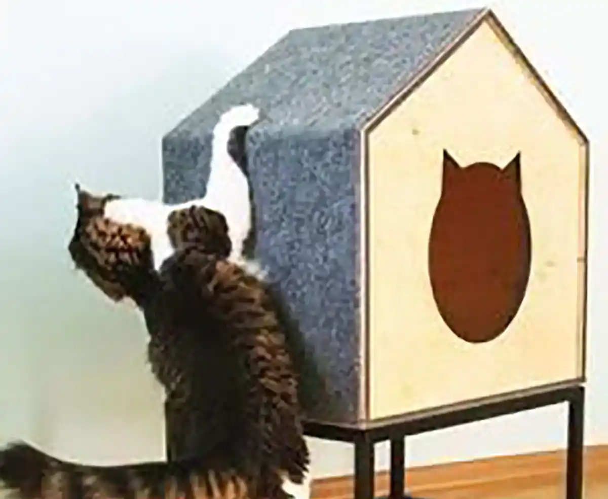 باکس چوبی حیوانات وحشی
قفس خرگوش بباکس چوبی حیواناتزرگ
اسباب بازی خرگوش
باکس چوبی حیوانات اهلی
باکس چوبی حیوانات
