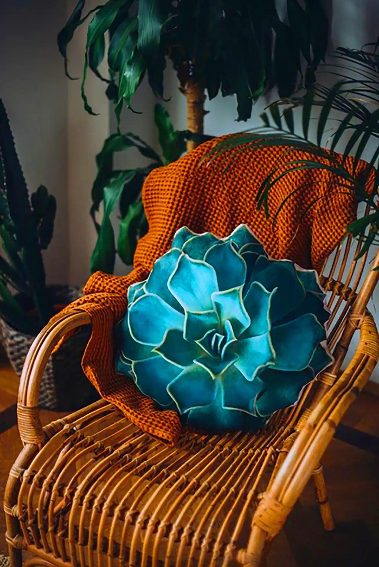 کوسن فانتزی طرح ساکولنت