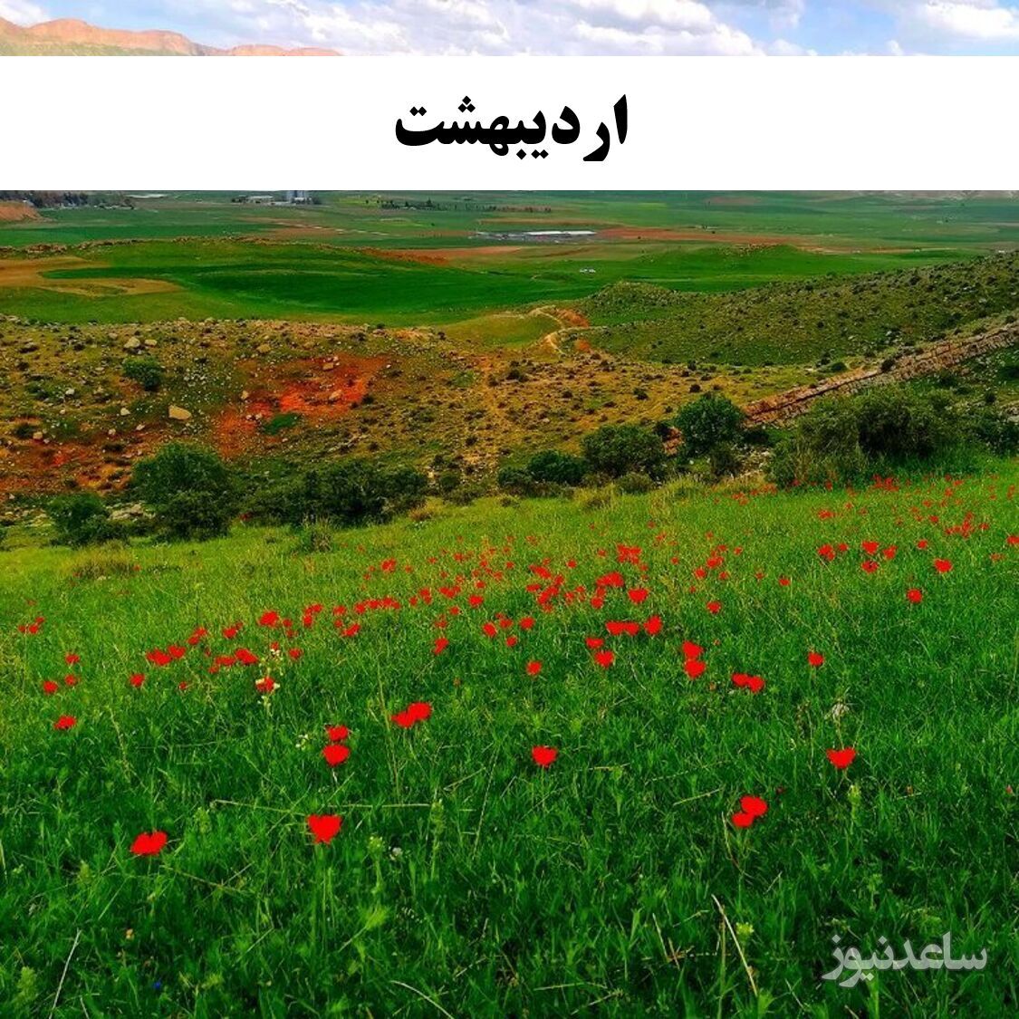 اردیبهشت
