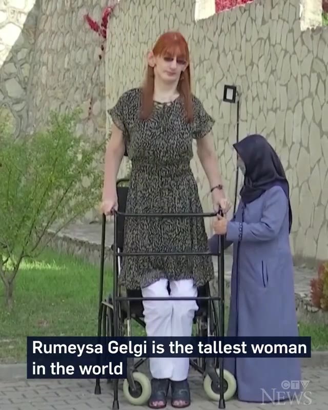 بلندقدترین زن گینس (1)