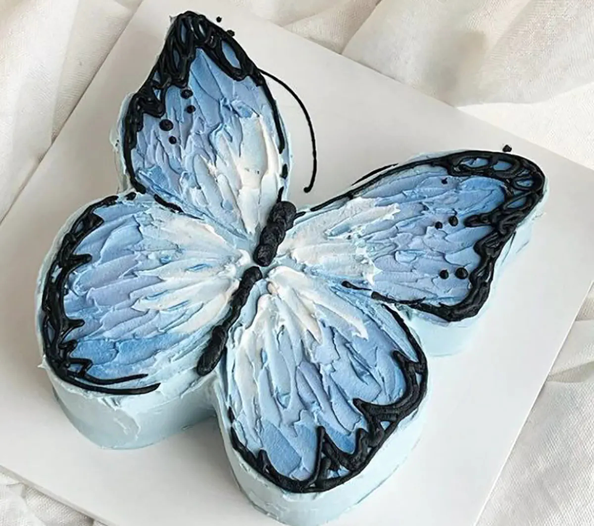 کیک پروانه ای بنفش کیک پروانه ای قرمز کیک پروانه ای رنگارنگ کیک تولد پروانه ای دخترانه کیک پروانه ای آبی