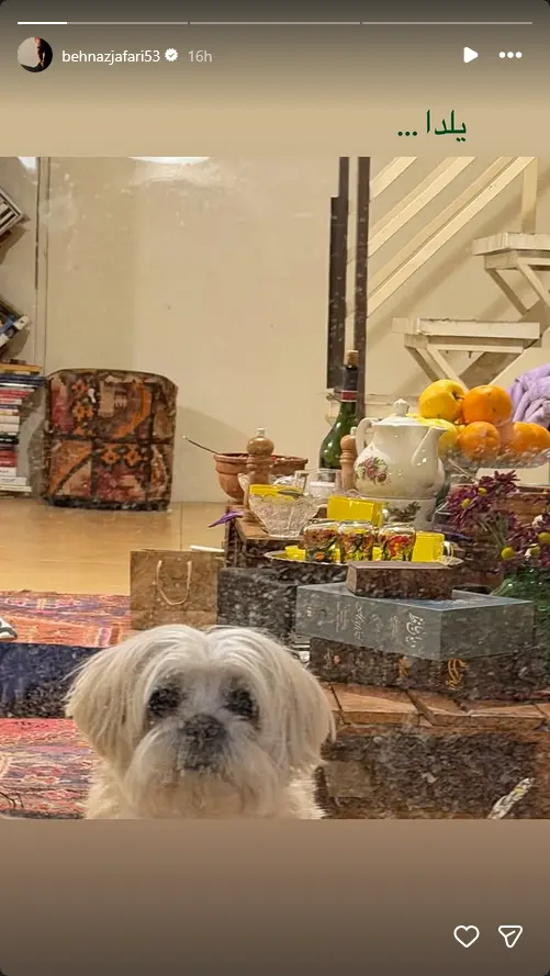 شب یلدای بازیگران