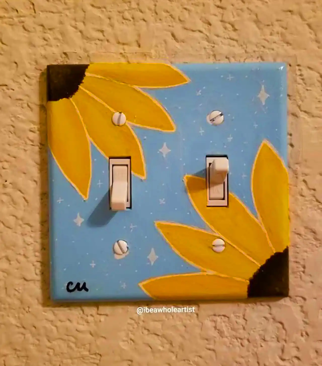 نقاشی روی کلید و پریز