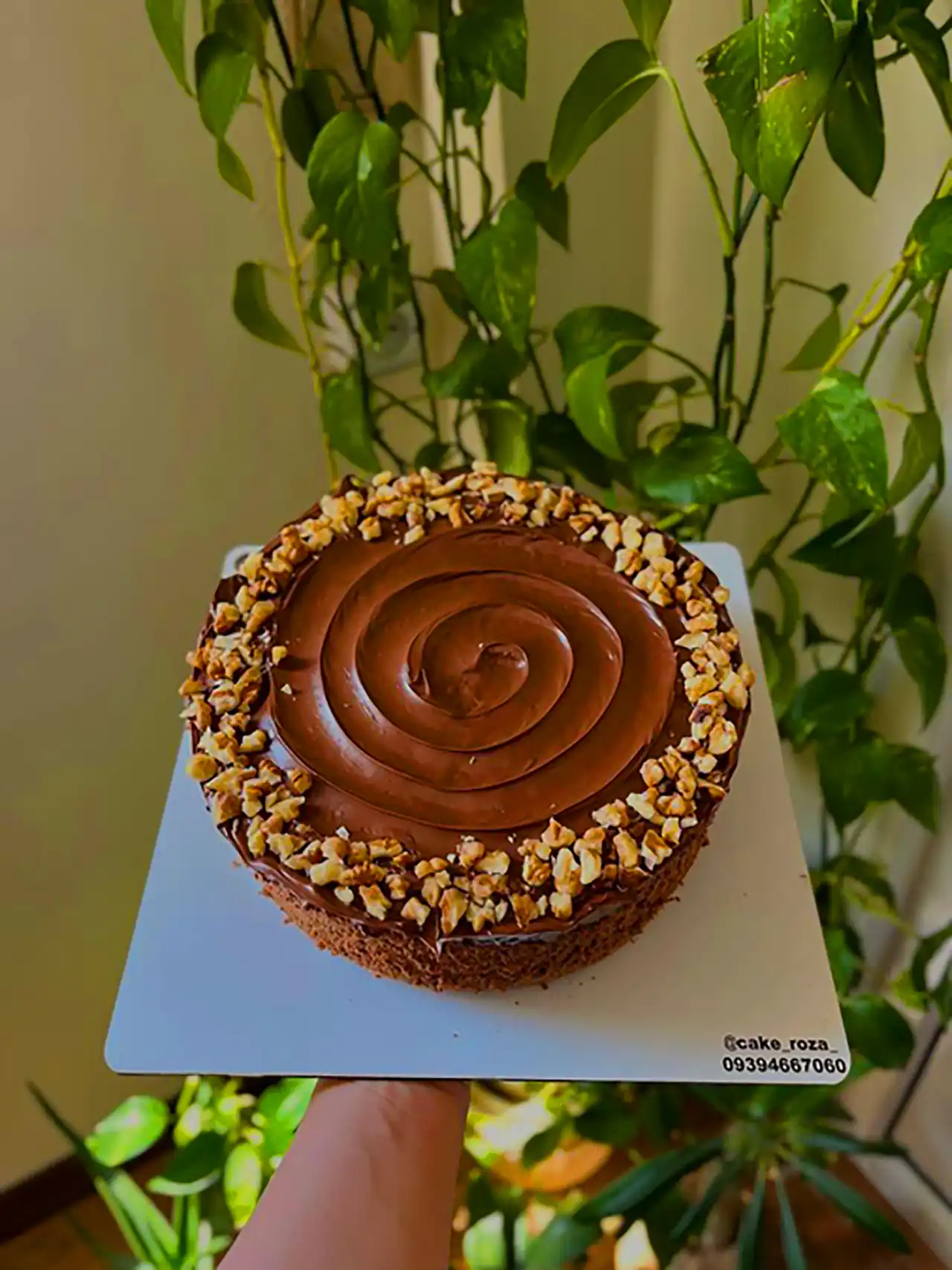 کیک شکلاتی با دیزاین شیک