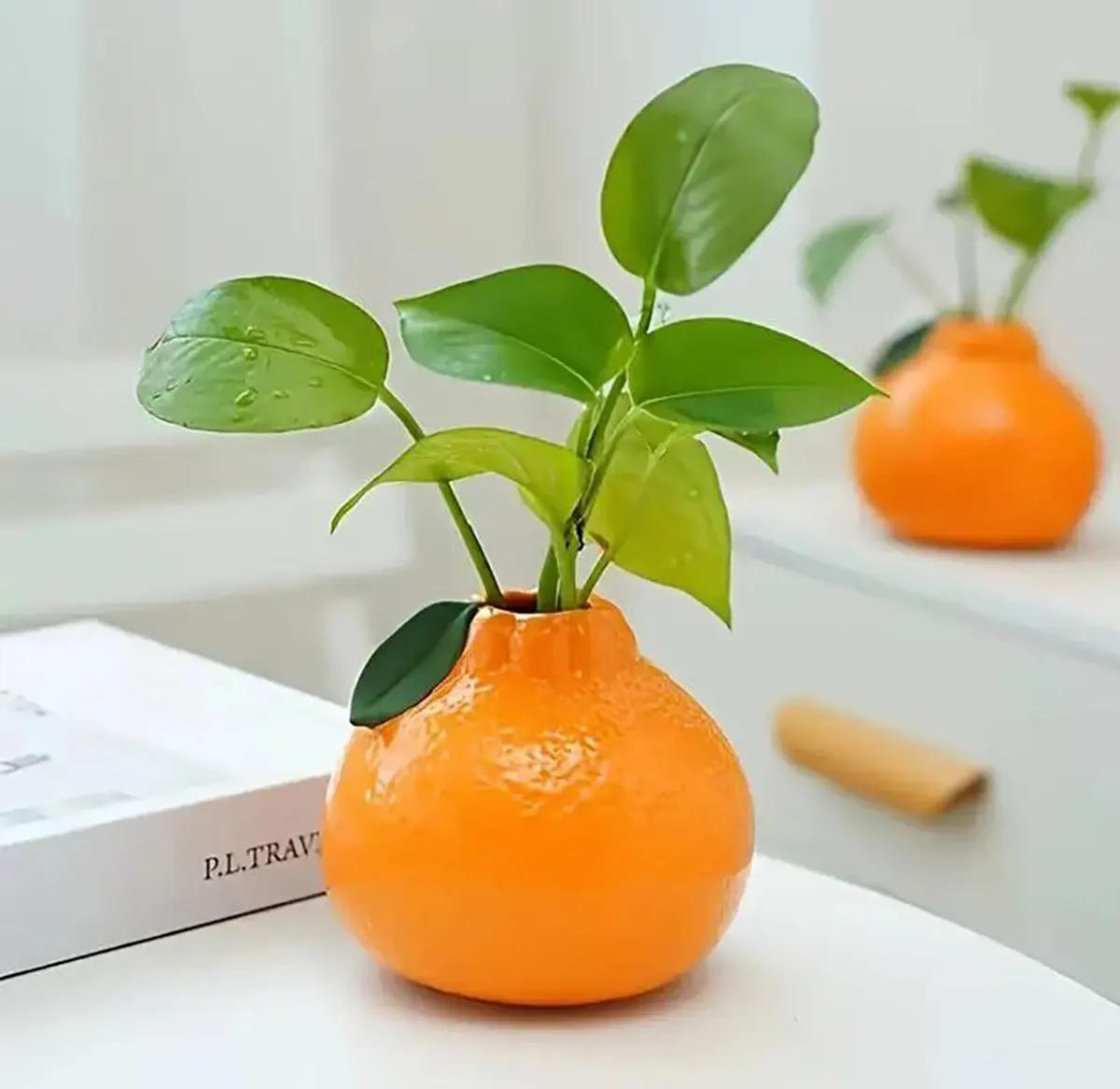 گلدان رومیزی شیک دیجی کالا
گلدان رومیزی مدرن
گلدان رومیزی لاکچری
گلدان رومیزی کوچک
گلدان رومیزی فانتزی
گل و گلدان رومیزی شیک
