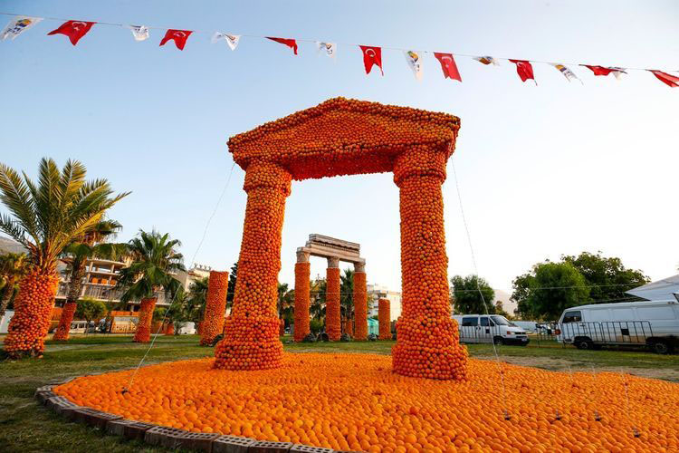 جشنواره پرتقالی