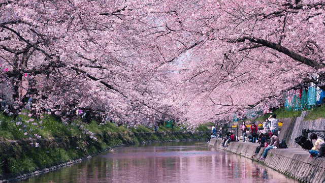 طبیعت چین