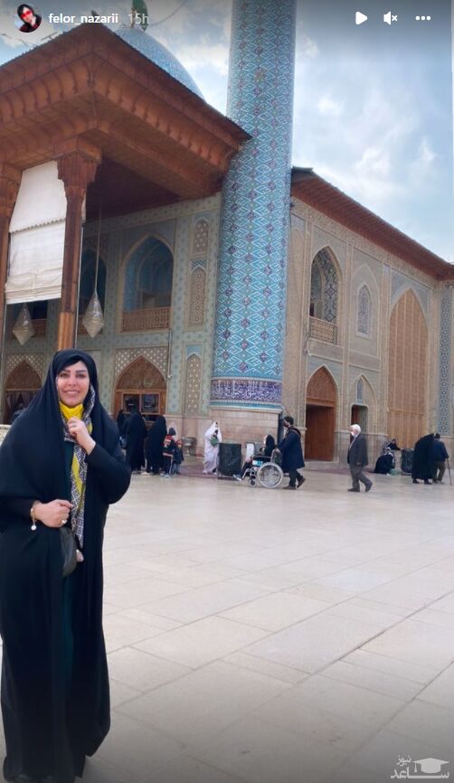فلور نظری
