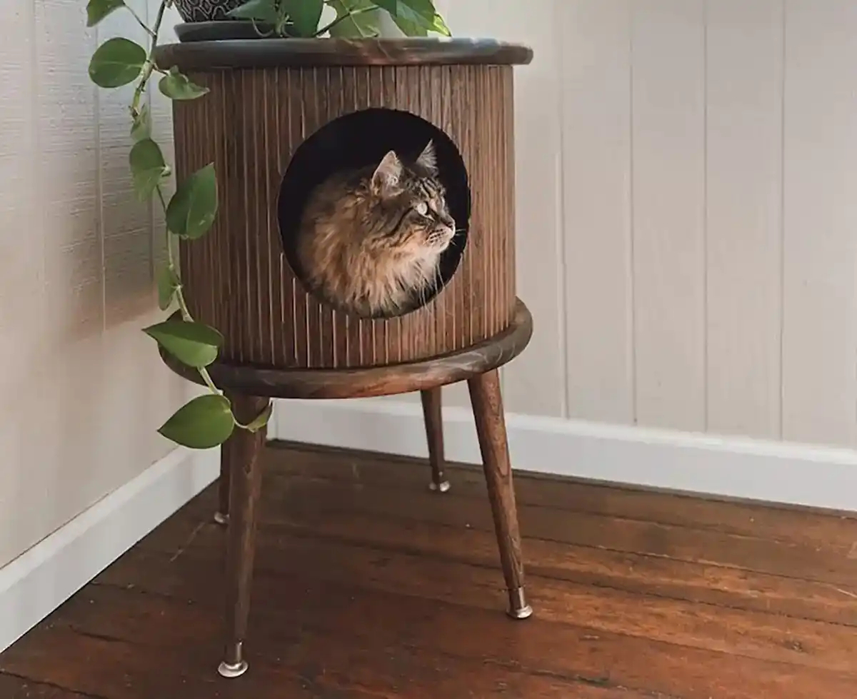 باکس چوبی حیوانات وحشی
قفس خرگوش بباکس چوبی حیواناتزرگ
اسباب بازی خرگوش
باکس چوبی حیوانات اهلی
باکس چوبی حیوانات
