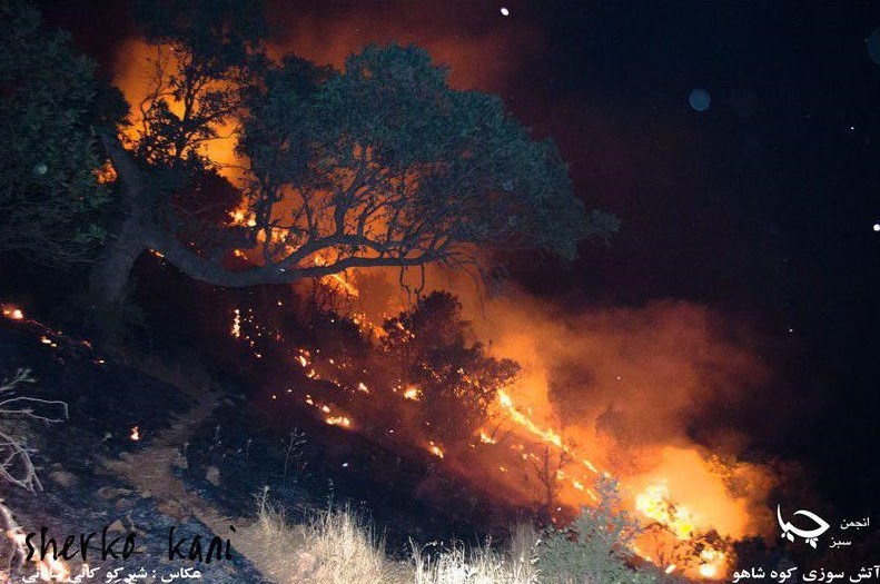 شعله‌های بی‌مسئولیتی مسئولان، حیات را در شاهو خاکستر کرد