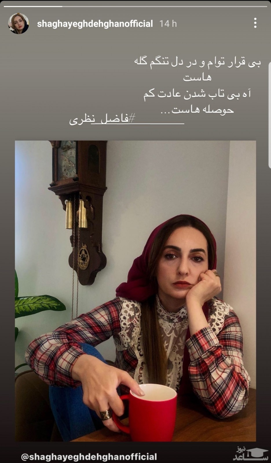شقایق دهقان