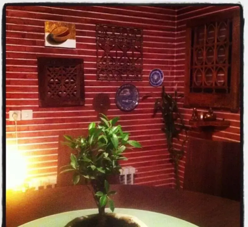 عکس ها/ مقایسه سبک دکوراسیون خانه باصفا و دلباز نیما فلاح و سحر ولدبیگی با چیدمان شیک و مدرن منزل علی اوجی و نرگس محمدی/ سلیقه بیستِ بیست