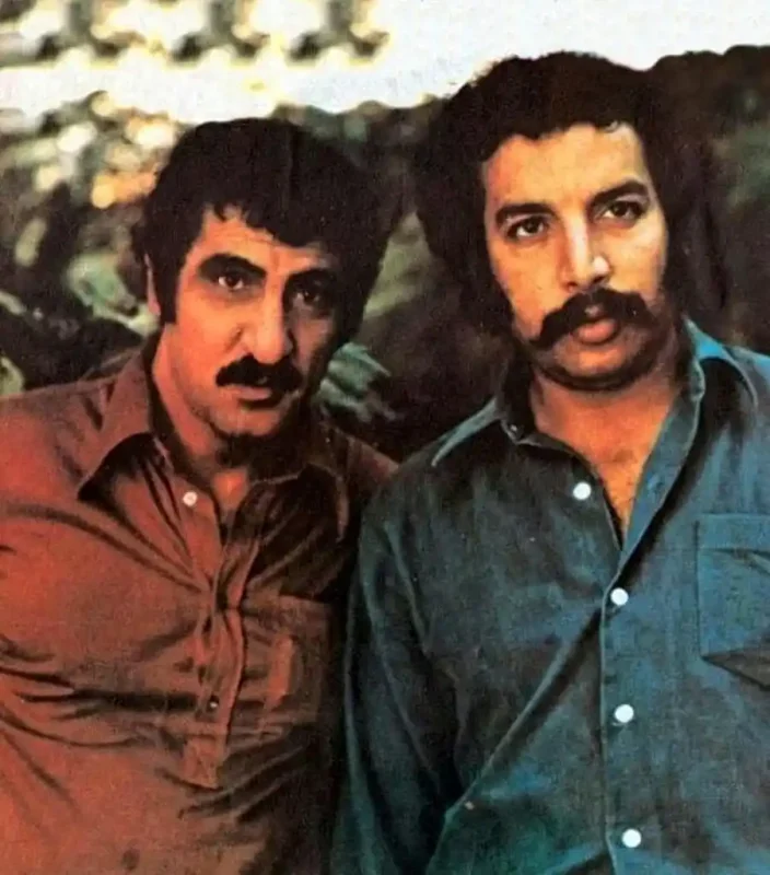 بهمن مفید