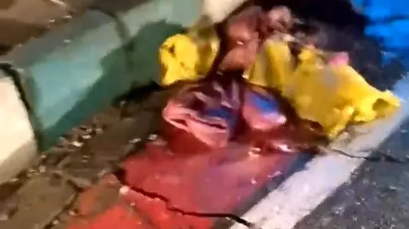 فیلم گزارش میدانی شهروند تهرانی از رهاشدگی مدیریت شهری / شهرداری منطقه یک؛ مخاطب این شهروند است