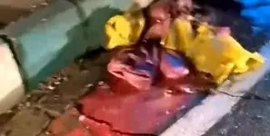 فیلم گزارش میدانی شهروند تهرانی از رهاشدگی مدیریت شهری / شهرداری منطقه یک؛ مخاطب این شهروند است