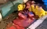 فیلم گزارش میدانی شهروند تهرانی از رهاشدگی مدیریت شهری / شهرداری منطقه یک؛ مخاطب این شهروند است