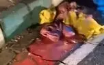 فیلم گزارش میدانی شهروند تهرانی از رهاشدگی مدیریت شهری / شهرداری منطقه یک؛ مخاطب این شهروند است