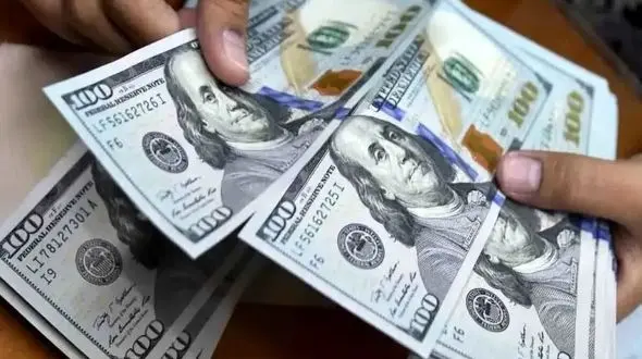 فیلم / افشاگری نماینده مجلس: ماجرای فروش ۱۱۷ میلیارد دلار ارز در بازار آزاد