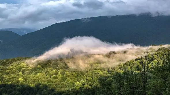 ۲۳ هکتار جنگل هیرکانی آزاد شد