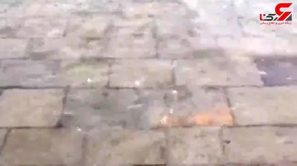 سیل حین مسابقه ماراتن+فیلم