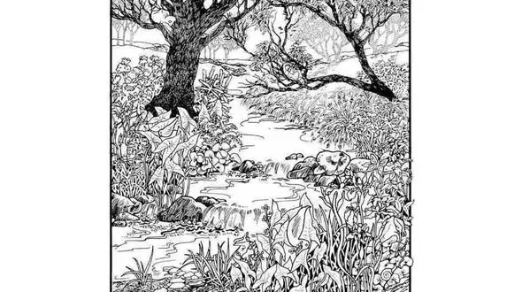 تست هوش و بینایی/ دختر داخل جنگل کجاست؟