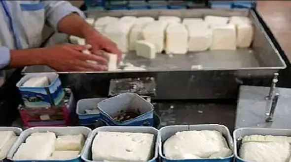 قیمت پنیر مرز 100 هزار تومان را رد کرد