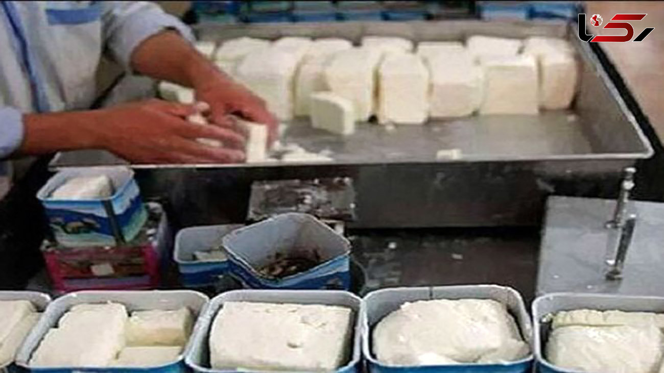 قیمت پنیر مرز 100 هزار تومان را رد کرد