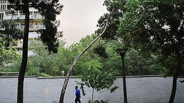 باد شدید در راه پایتخت / هواشناسی تهران اطلاعیه داد