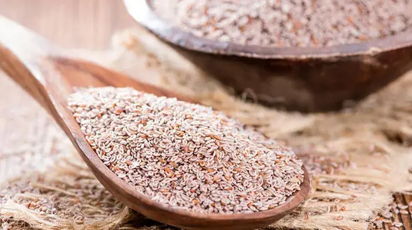 درمان اسهال و یبوست با  گیاه اسفرزه 