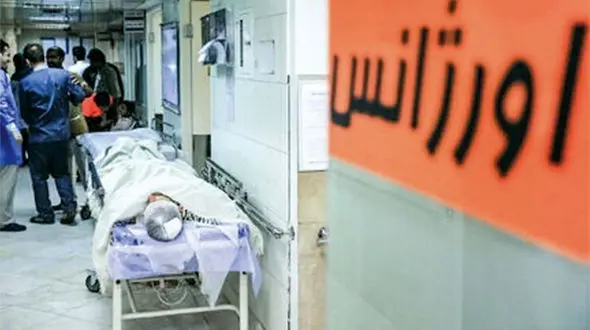 مرگ دلخراش دختر جوان مشهدی به خاطر حمله ساس ها به خانه همسایه