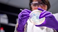 دانشمندان هلندی: مصونیت از ویروس کرونا فقط ۶ ماه طول می‌کشد