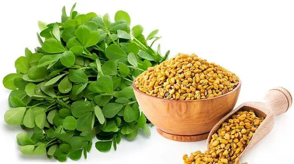 20 گزینه غذایی برای مادران شیرده