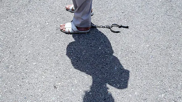 برادر کشی در مزرعه پدری / جوان مشهدی راز قتل برادرش را فقط به پدرش می گوید !