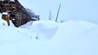 فیلم بارش سنگین برف در سوادکوه مازندران
