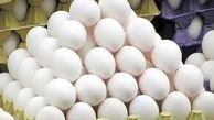 تولید ۹ هزار تن تخم مرغ در واحدهای مرغداری استان قزوین
