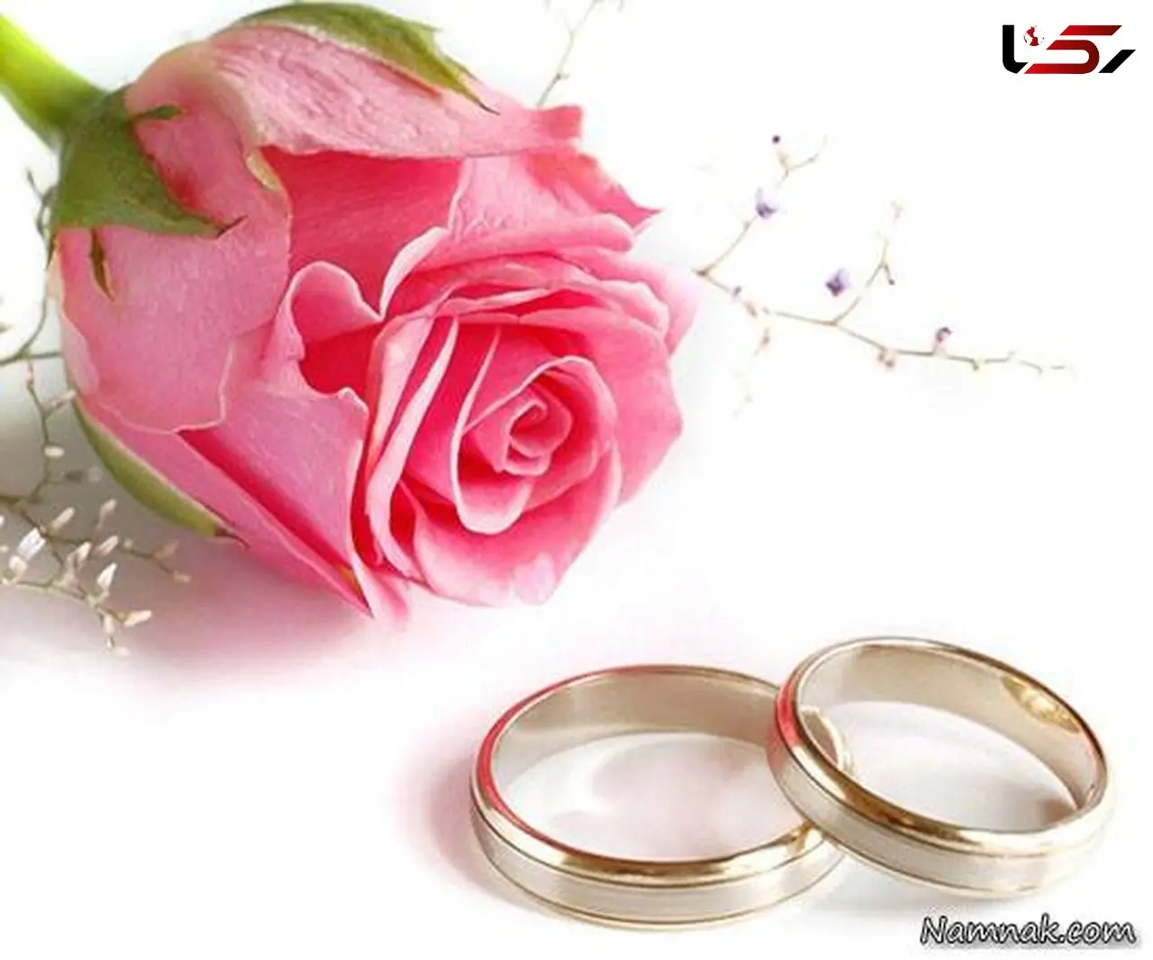 عاشق شدن زیباترین زن به زشت‌ترین مرد جهان ! + عکس عروس و داماد حیرت آور