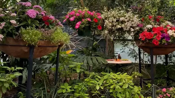 برای خودت زندگی کن، نه برای حرف دیگران