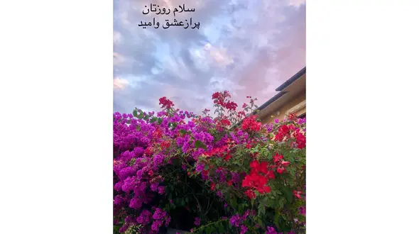 فال و طالع بینی 31 تیر + فیلم 