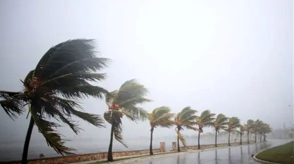 خوش شانس ترین فرد در جهان کیست؟ + فیلم