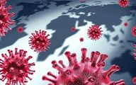  Scientists Warn about Undiscovered Animal Viruses That Could Infect Humans 