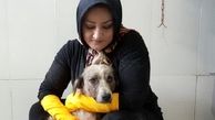 حمله شبانه به ژیلا پورایرانی در تبریز ! / سگی را با داغ اتو کشتند!+عکس