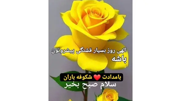 فال ابجد مخصوص 23 تیر + فیلم