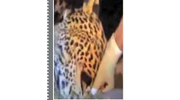 وحشت ماموران پلیس از دیدن صحنه ای عجیب در کلانتری