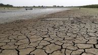درویش: خشک شدن رود چالوس در ۴۰۰ سال گذشته بی سابقه است