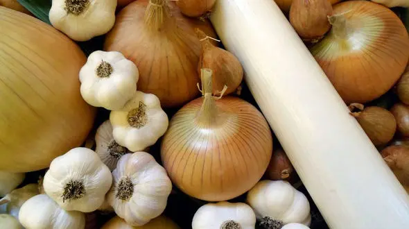 چه کنیم تا خون مان لخته نشود؟