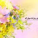 فیلم / زیباترین جملات و متن‌های ادبی برای تبریک روز معلم / معلم پادشاه زندگی
